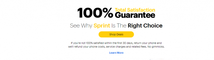 Best Value in Wireless Sprint Logo