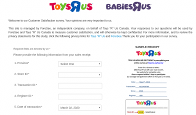 ToysRUS Survey