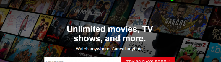 Netflix Account Log In Help