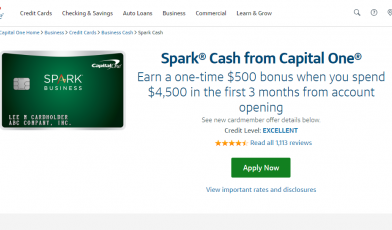 Capital One Spark Credit Card Logo