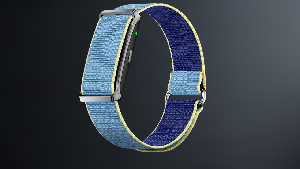 Pebble Advanced Health Tracking Fitness Band